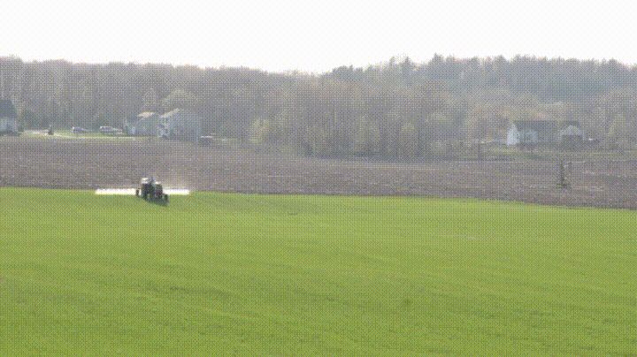 grassland gif